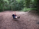 Wischer_26